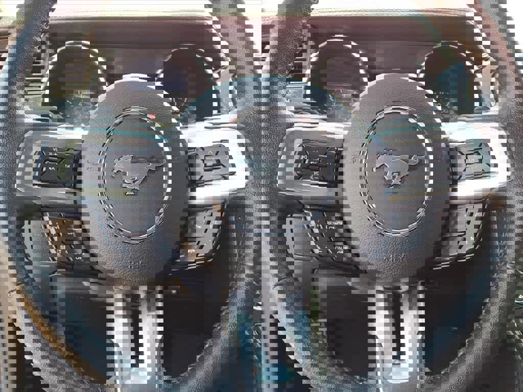 Used 2021 Ford Mustang EcoBoost w/ Equipment Group 101A image 16