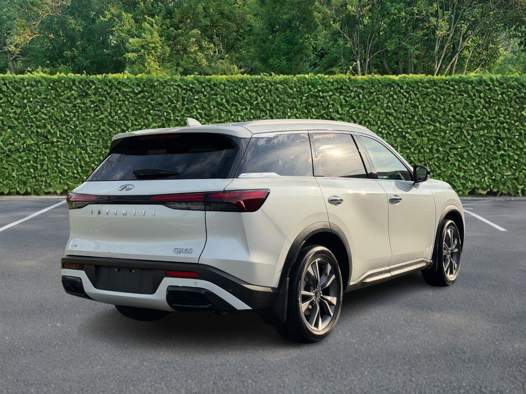 Used 2024 INFINITI QX60 Luxe w/ Vision Package image 3