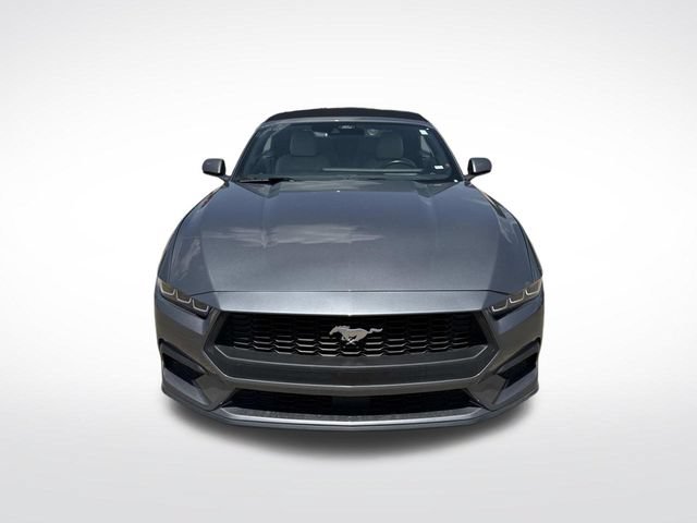 Used 2024 Ford Mustang Premium RWD image 3