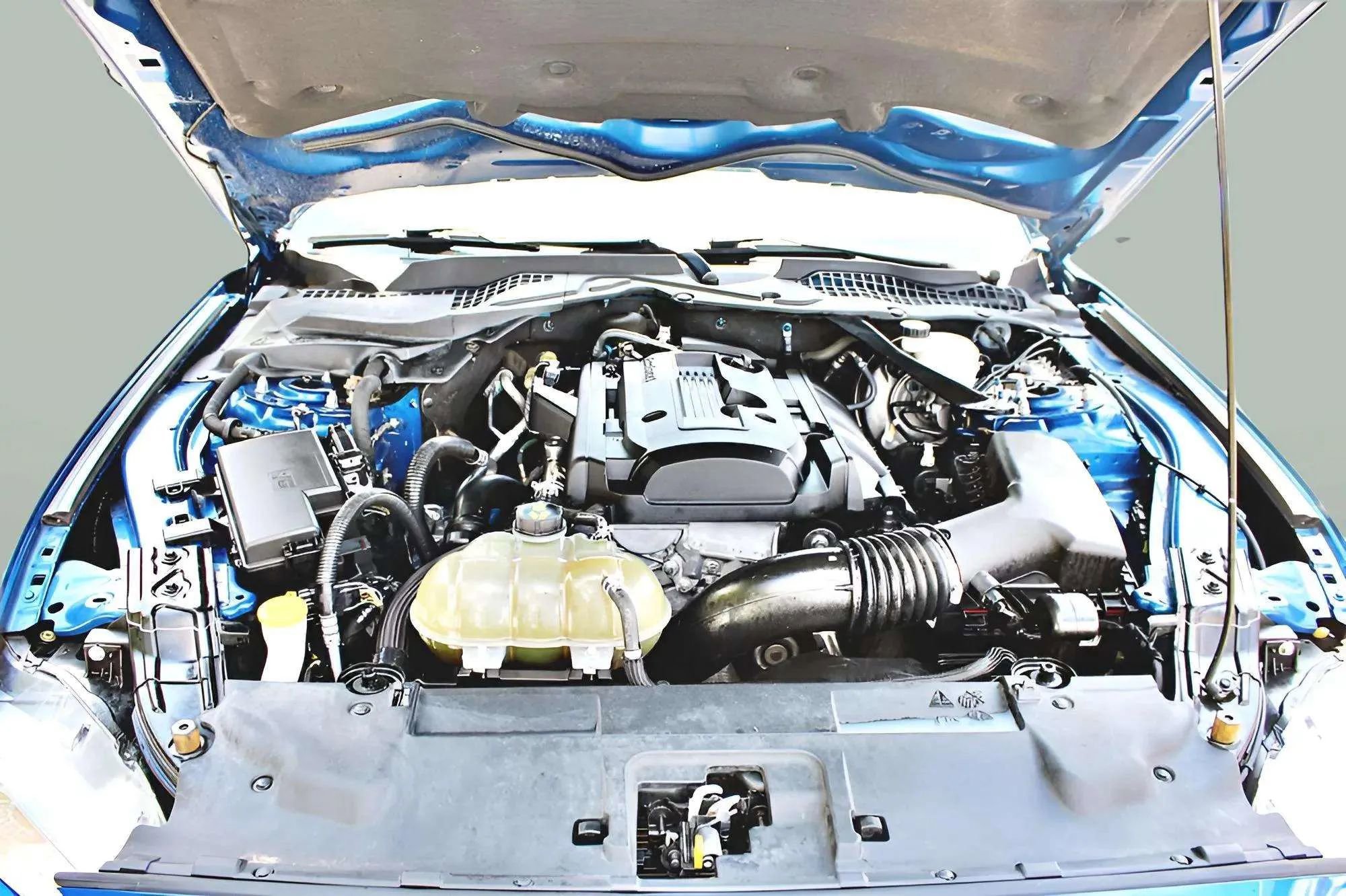 Used 2018 Ford Mustang Premium image 33