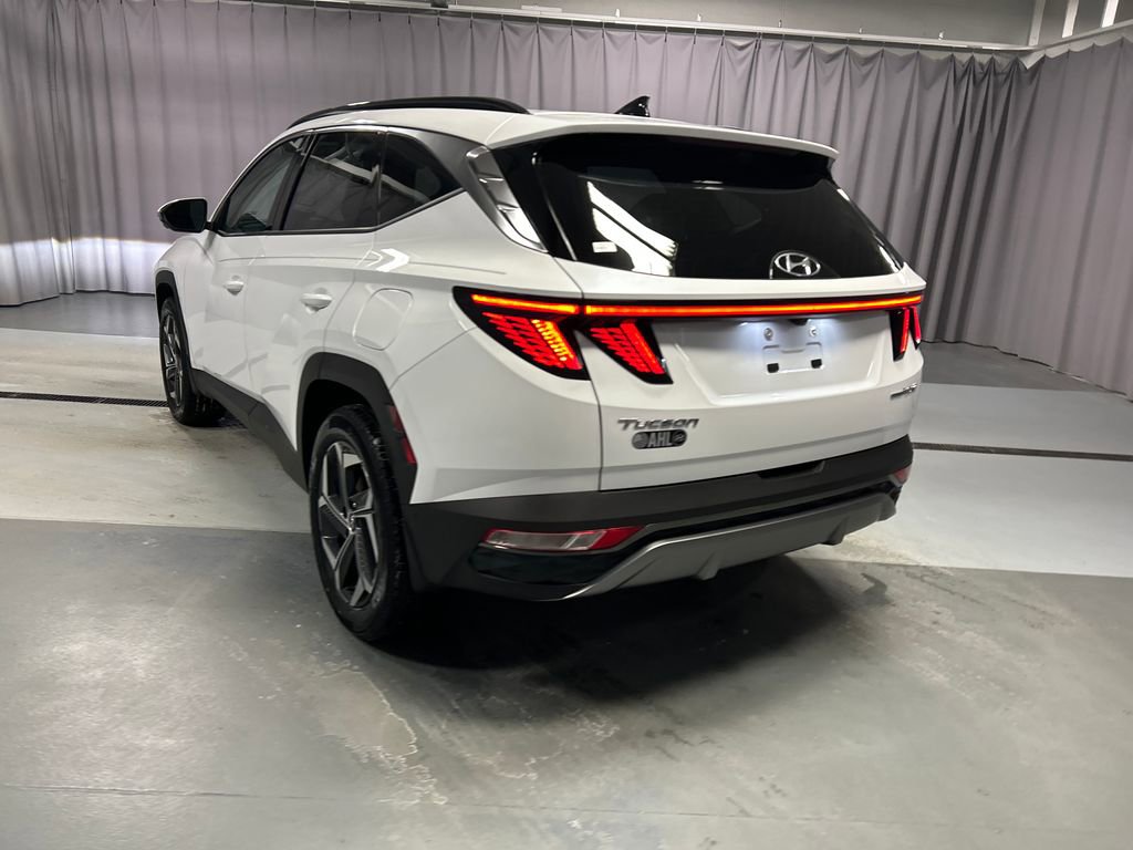 Used 2023 Hyundai Tucson Limited image 5