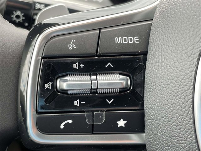 New 2026 Kia Carnival EX image 29