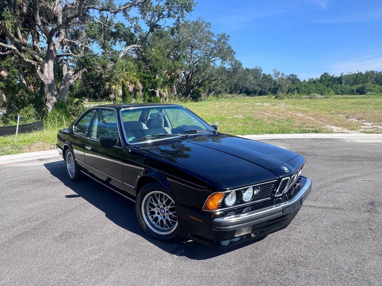 Used 1988 BMW 635CSi Coupe RWD image 15