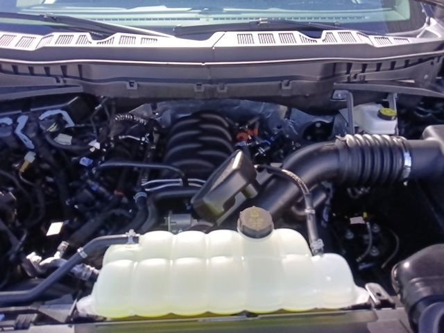 New 2026 Ford F150 STX w/ F-150 LOBO Package image 34