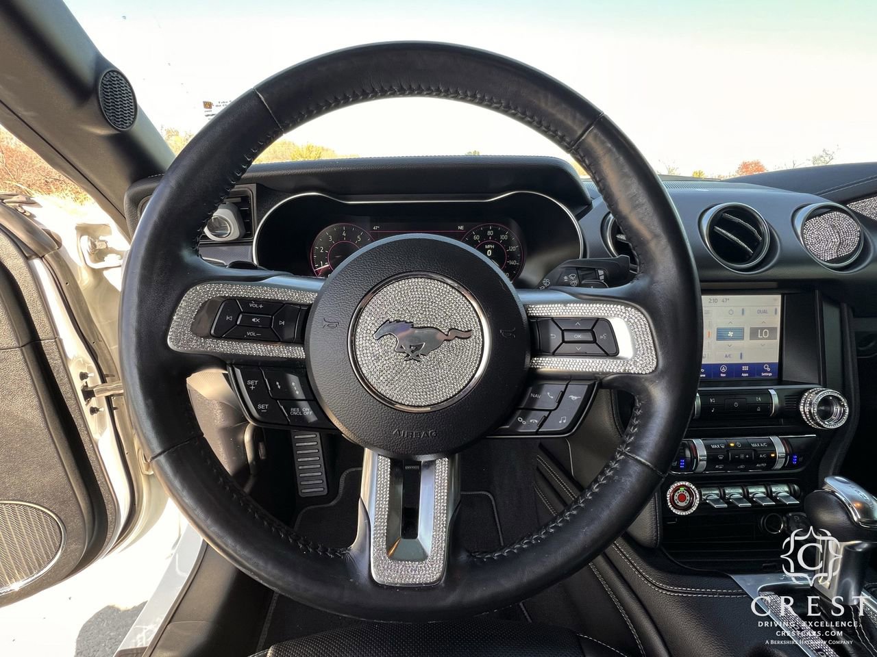 Used 2019 Ford Mustang GT Premium w/ Equipment Group 401A image 14