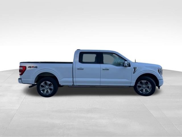Used 2022 Ford F150 Platinum w/ Equipment Group 701A High AWD/4WD image 8