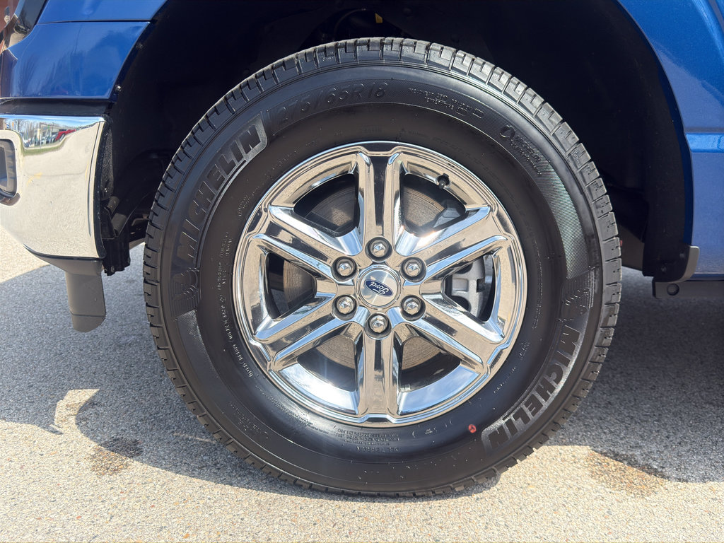 Used 2024 Ford F150 XLT w/ Equipment Group 302A MID image 14