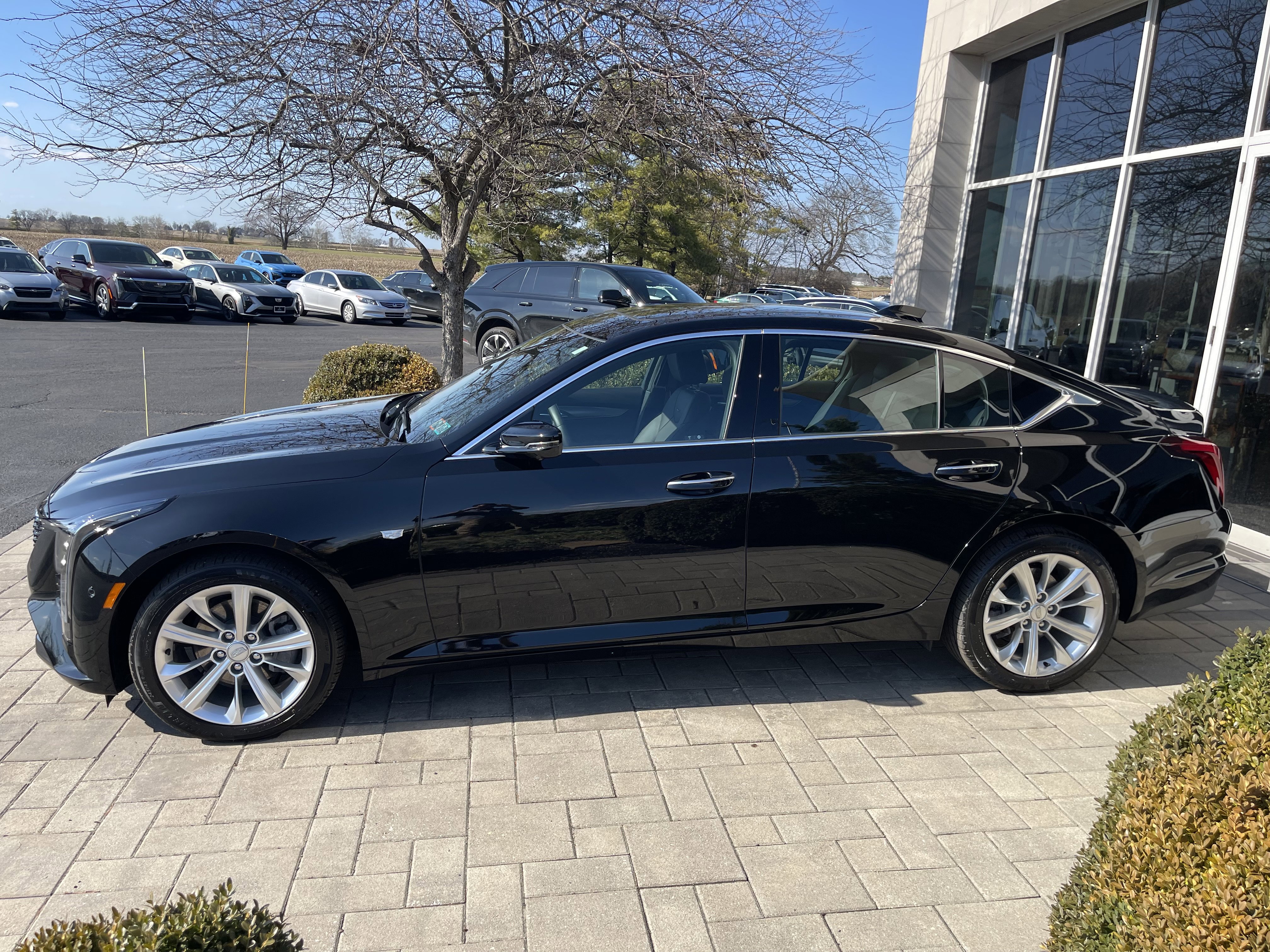 Used 2025 Cadillac CT5 Premium Luxury w/ Sun And Sound Package image 5