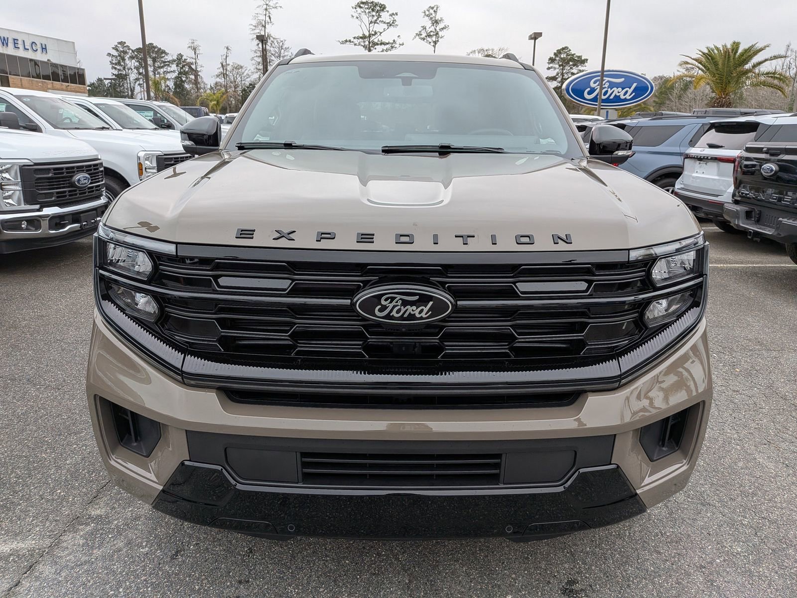 New 2026 Ford Expedition Platinum w/ Stealth Appearance Package image 9