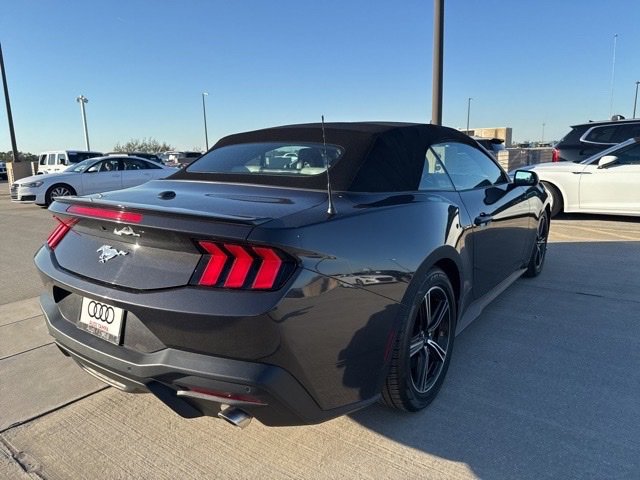 Used 2024 Ford Mustang Premium image 3