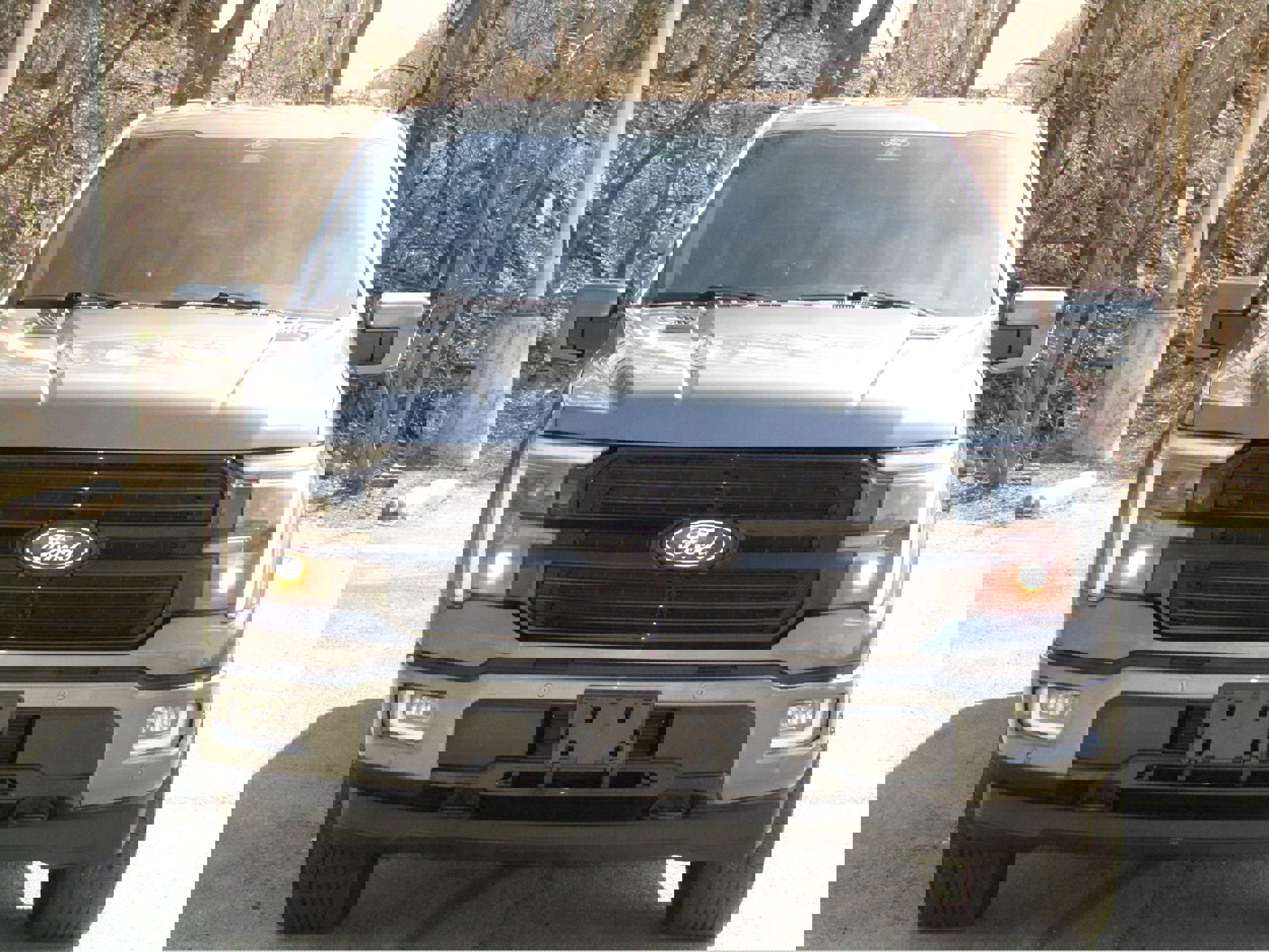 Used 2024 Ford F150 Platinum w/ FX4 Off-Road Package image 7