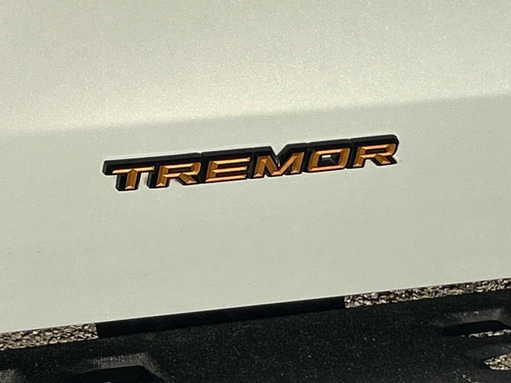 Used 2025 Ford Expedition Tremor AWD/4WD image 18