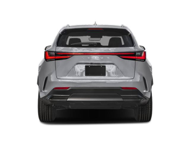Used 2024 Lexus NX 250 FWD w/ Cold Area Package image 5