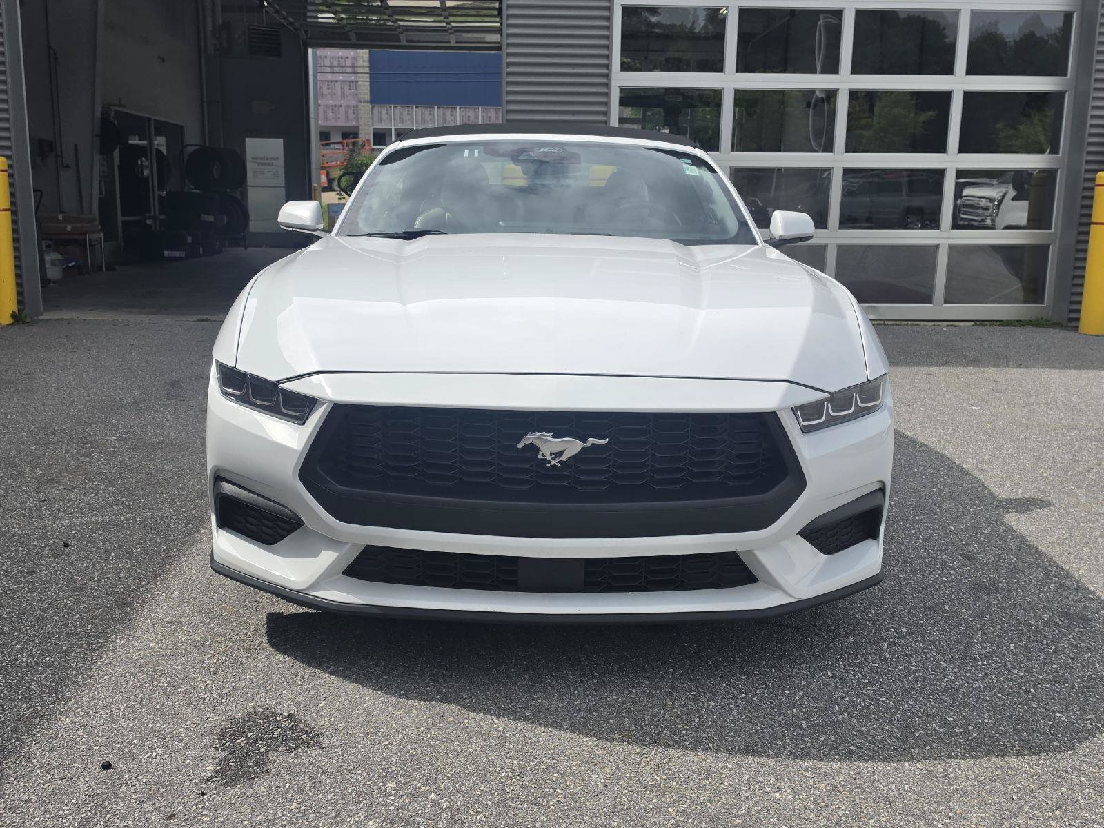 Used 2024 Ford Mustang Premium RWD image 14