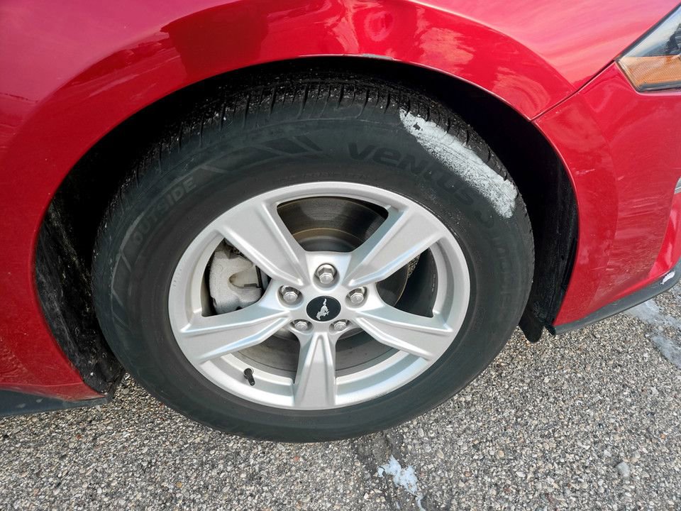 Used 2020 Ford Mustang EcoBoost image 33