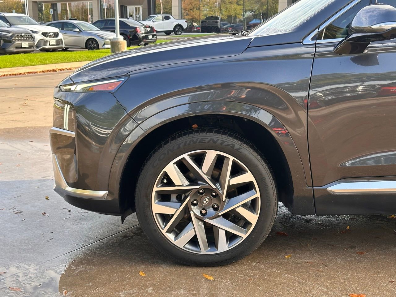 Used 2023 Hyundai Santa Fe Calligraphy image 6