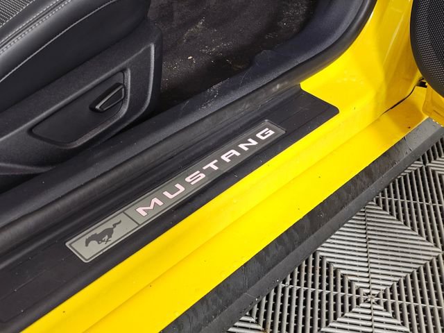 Certified 2024 Ford Mustang GT Premium image 16