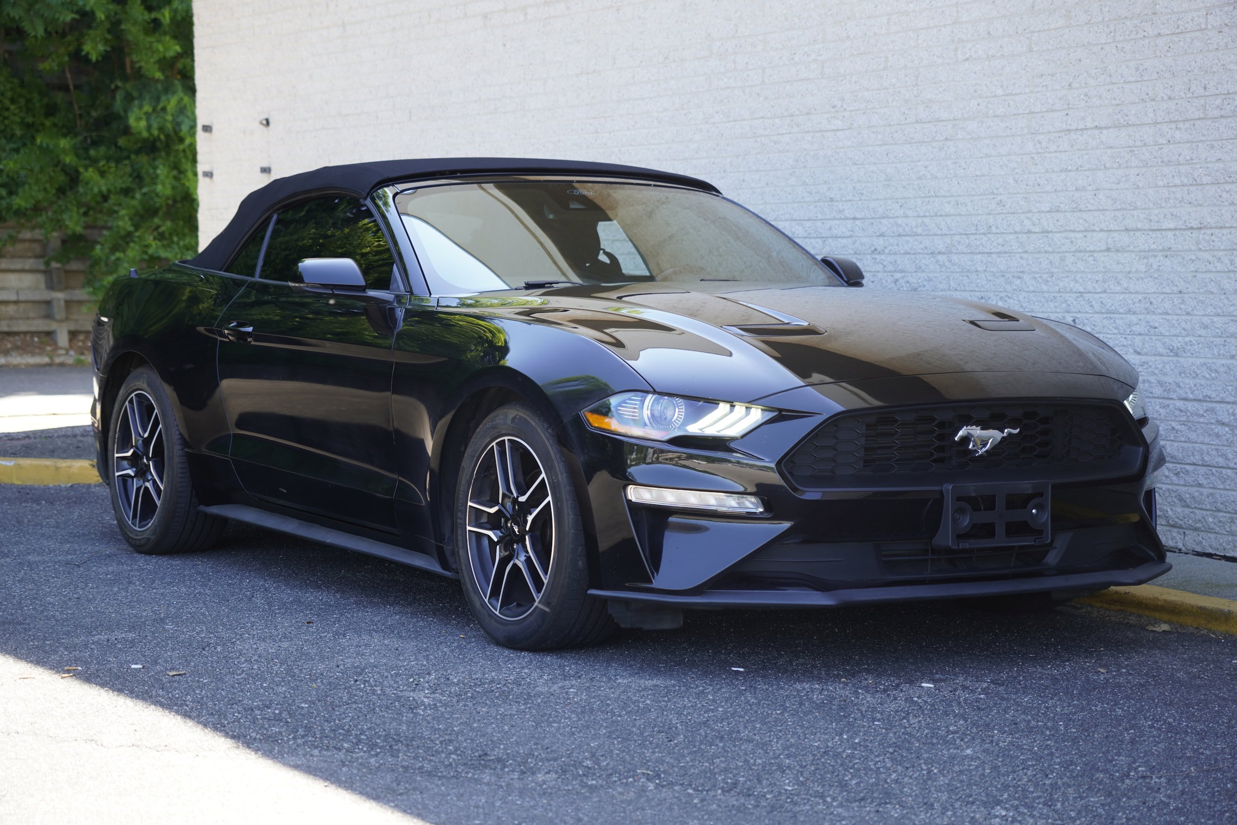 Used 2023 Ford Mustang Premium w/ Equipment Group 201A RWD image 15