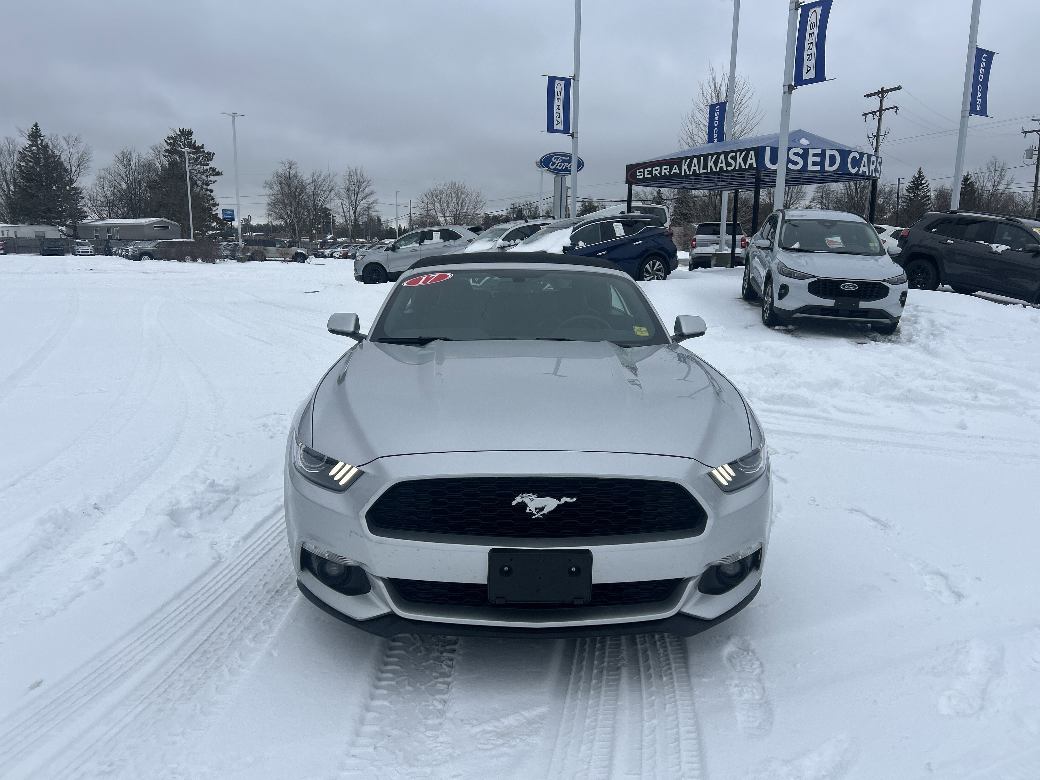 Used 2017 Ford Mustang Premium image 8