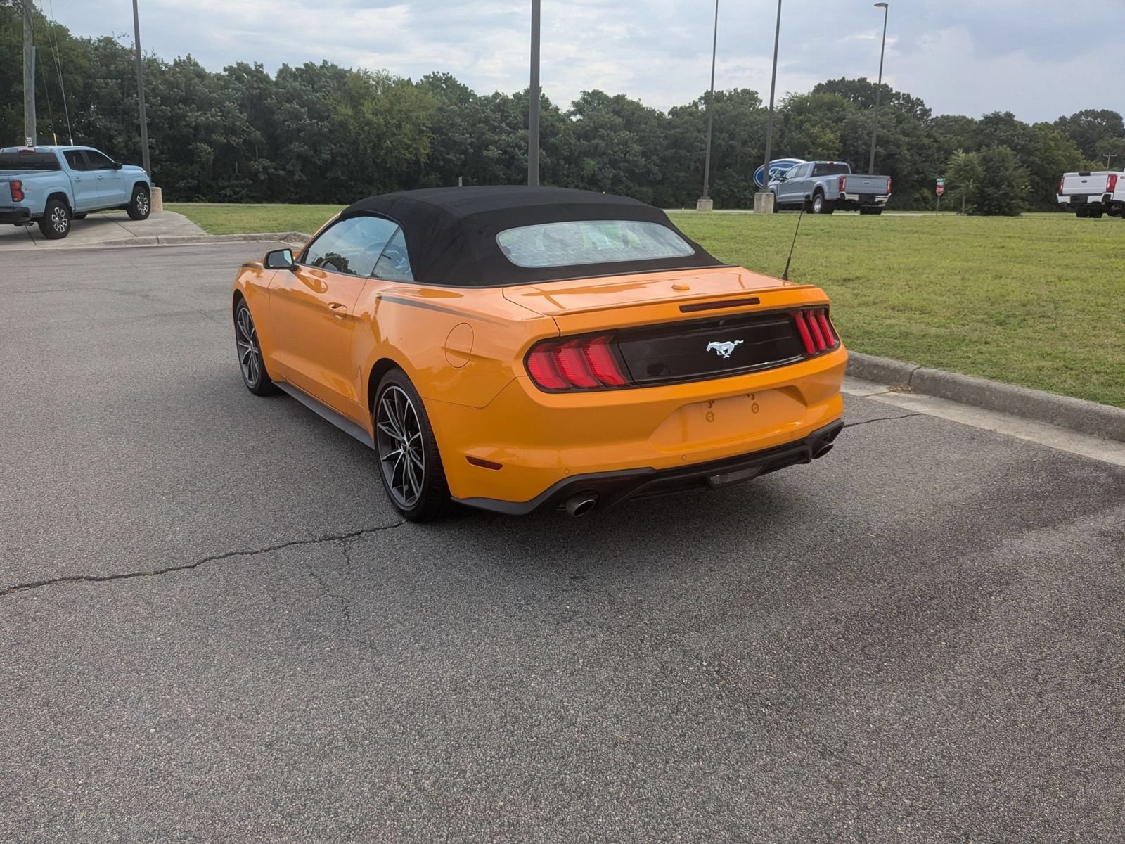 Used 2019 Ford Mustang Premium w/ Equipment Group 201A RWD image 5