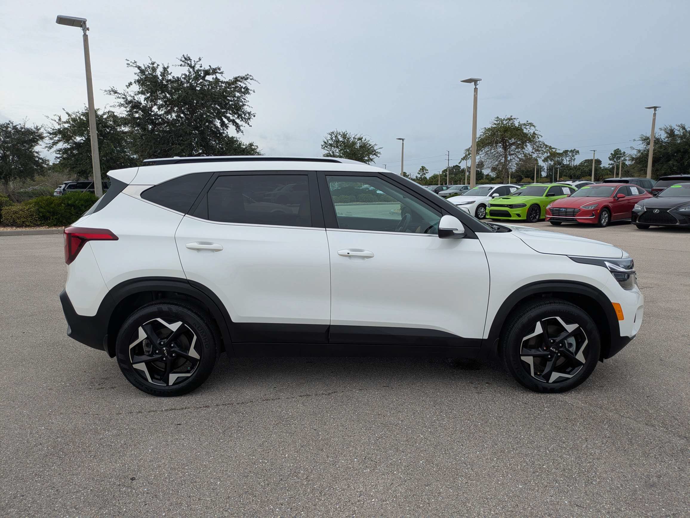 Certified 2025 Kia Seltos EX w/ EX Sunroof Package AWD/4WD image 3