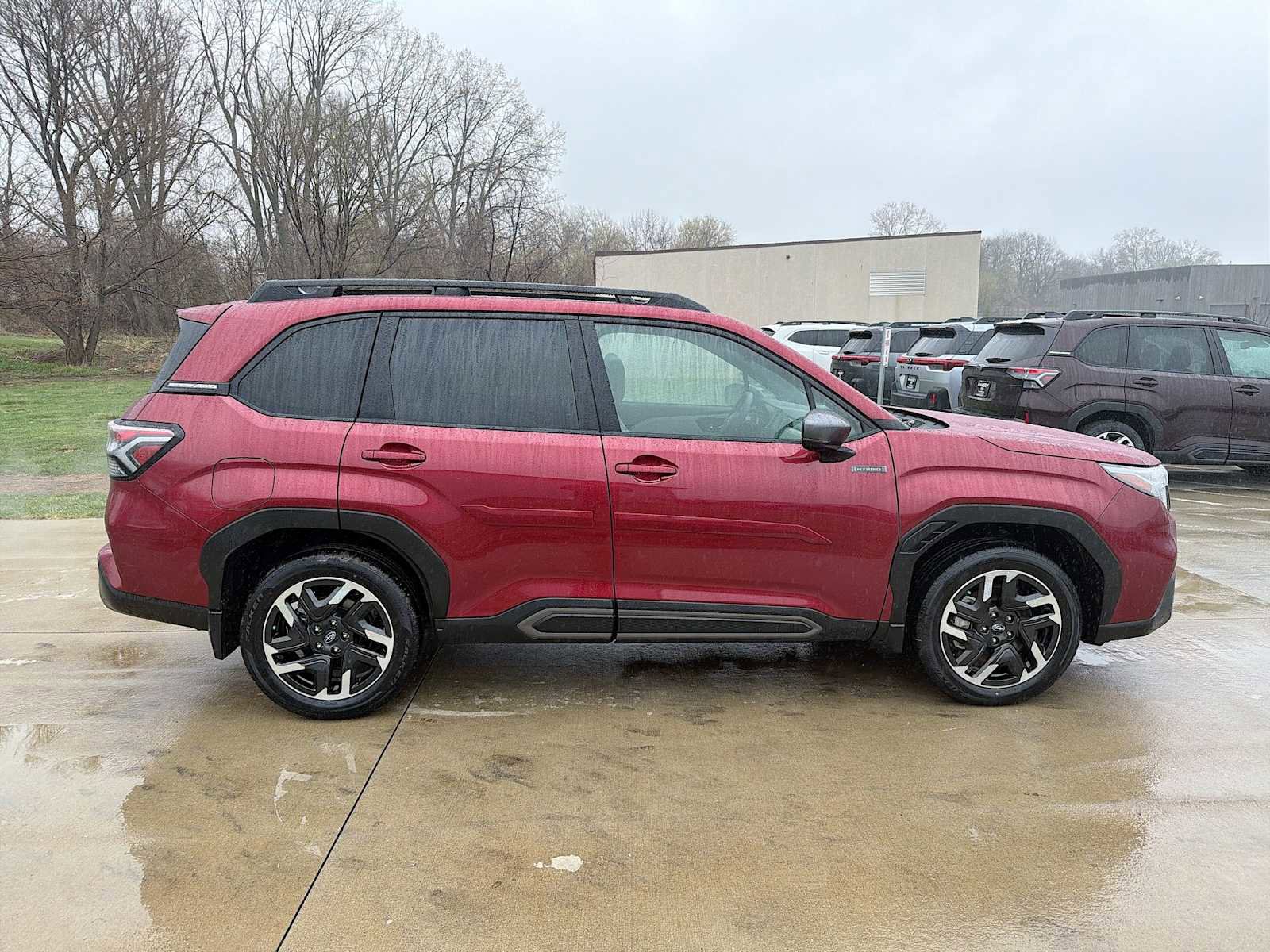 Used 2025 Subaru Forester Limited image 7