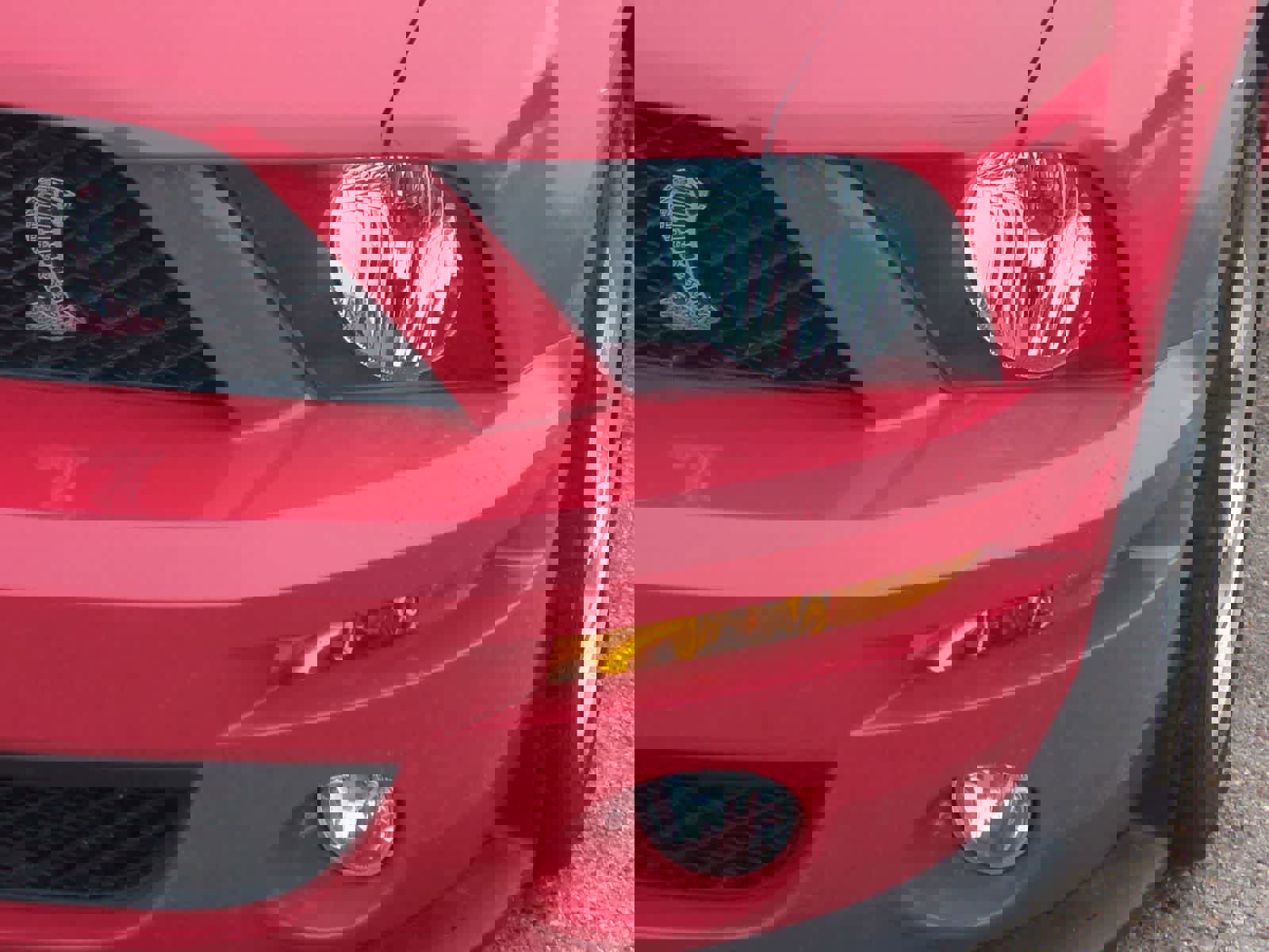 Used 2008 Ford Mustang Shelby GT500 image 12