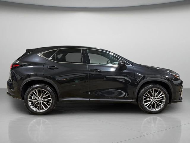 Used 2023 Lexus NX 350h AWD w/ Vision Package image 4