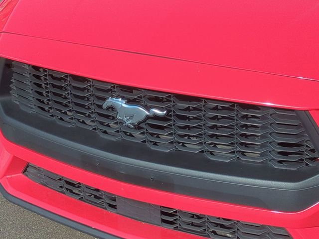 Used 2024 Ford Mustang Premium image 36