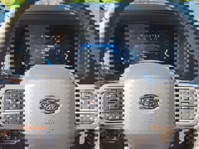 New 2025 Ford F150 XLT w/ Equipment Group 301A Standard image 32