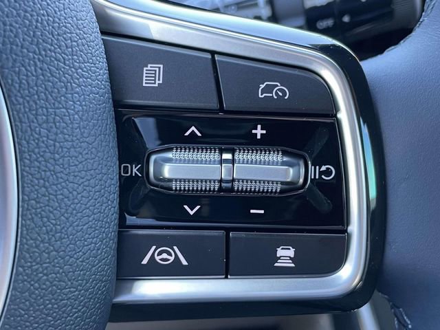 New 2026 Kia Carnival SX Prestige image 33