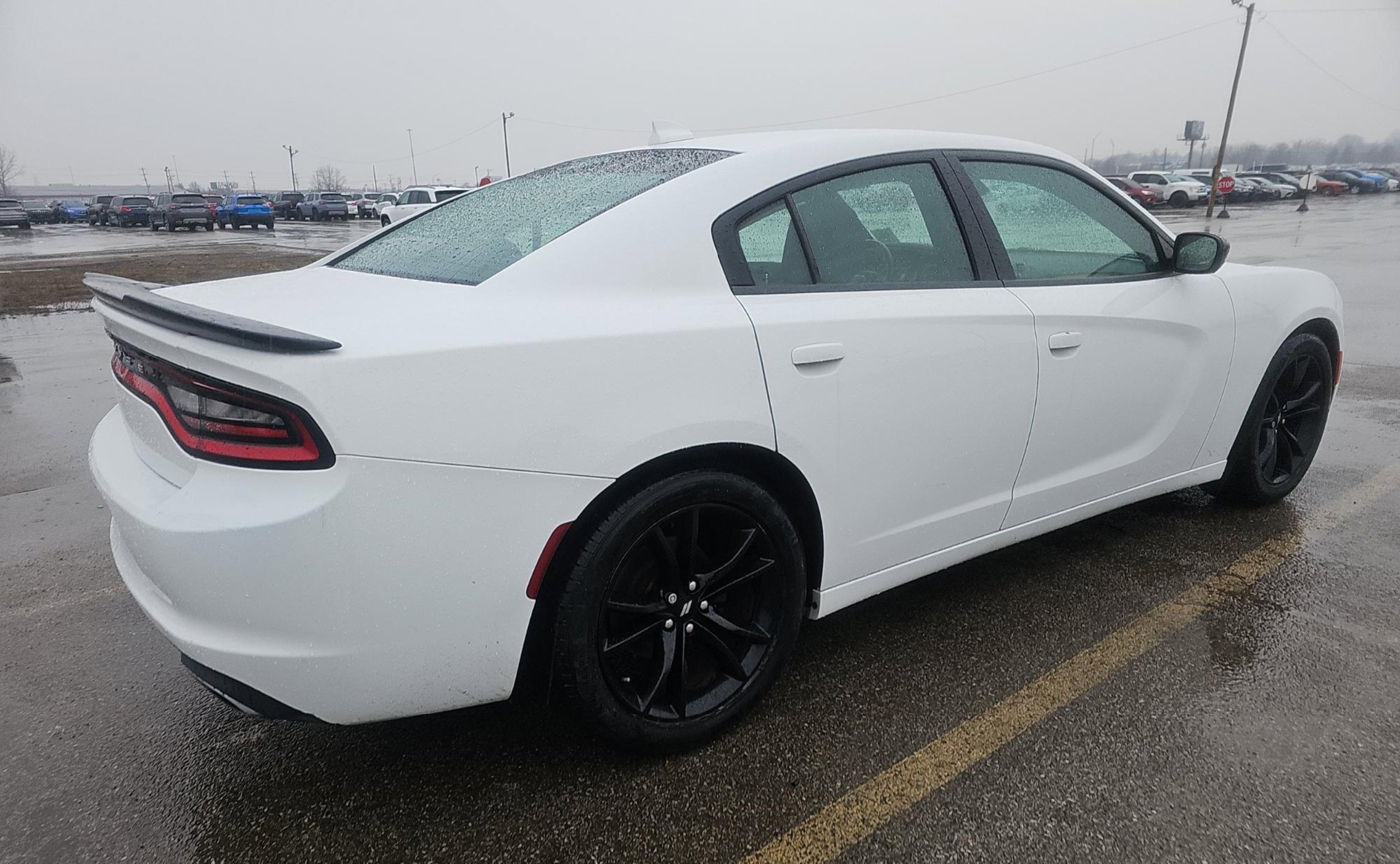 Used 2017 Dodge Charger SXT w/ Blacktop Package image 4