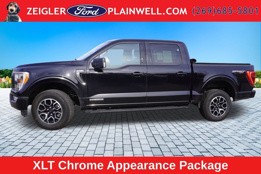 Used 2023 Ford F150 XLT w/ Equipment Group 302A High AWD/4WD image 3