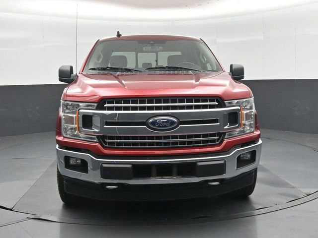 Used 2019 Ford F150 XLT w/ Equipment Group 302A Luxury image 9