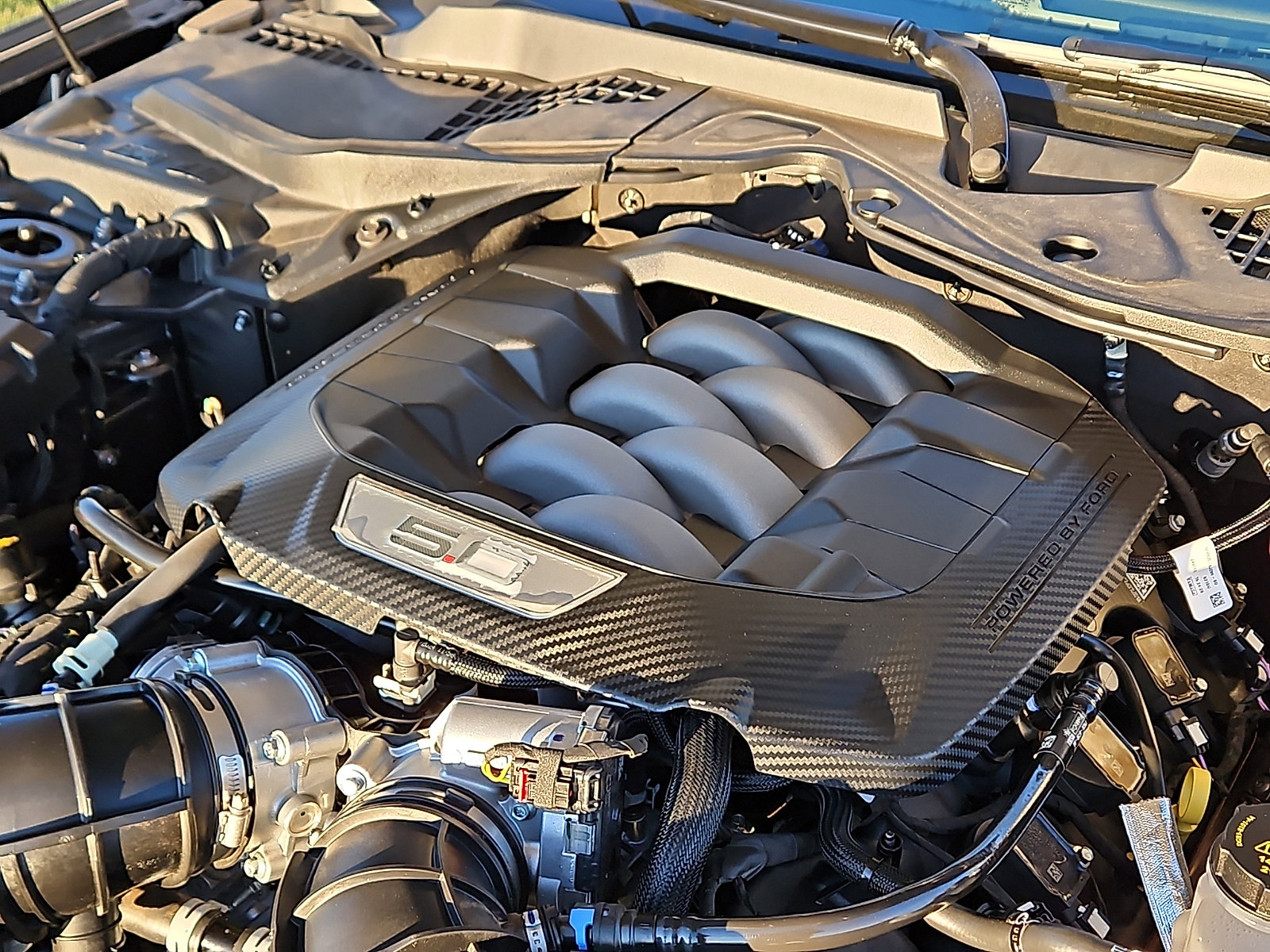 Used 2025 Ford Mustang GT Premium image 9