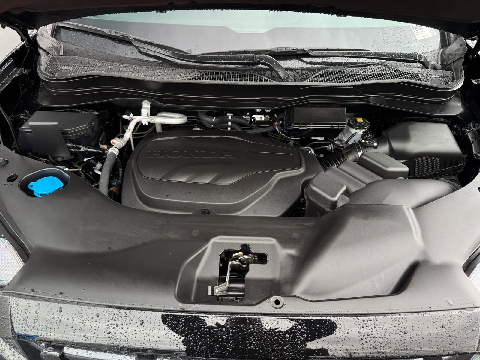 Certified 2024 Honda Ridgeline Sport+ image 24