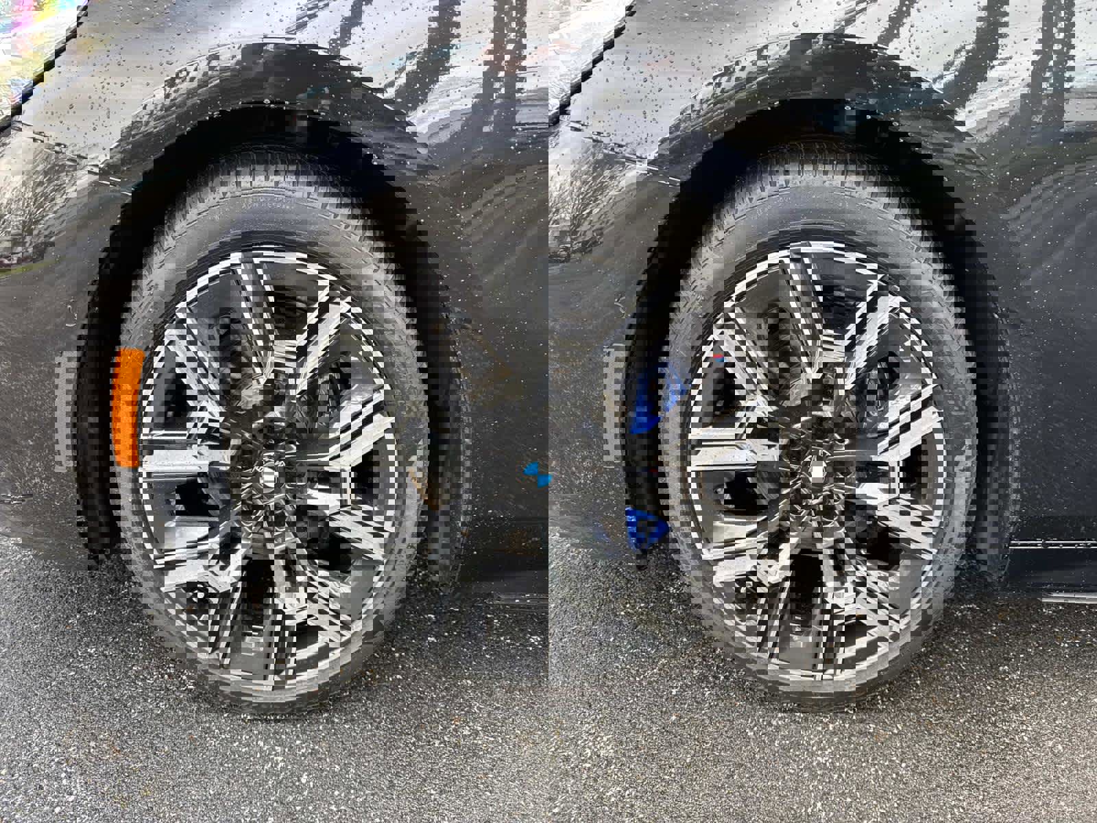 Certified 2026 BMW 530i xDrive w/ M Sport Package image 14