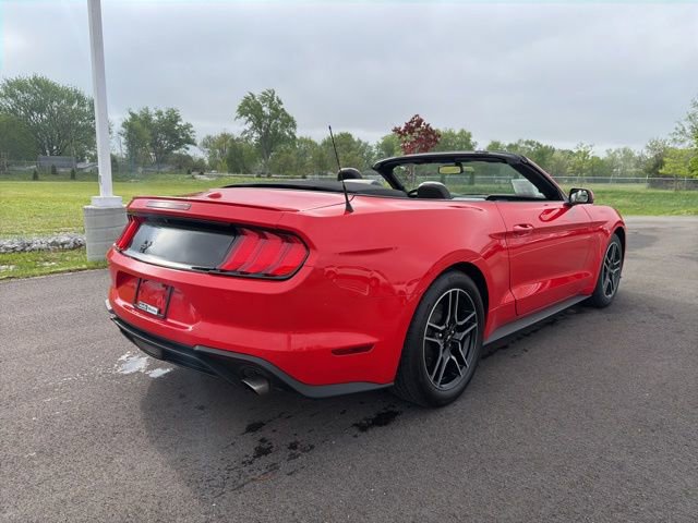 Used 2020 Ford Mustang Premium RWD image 11