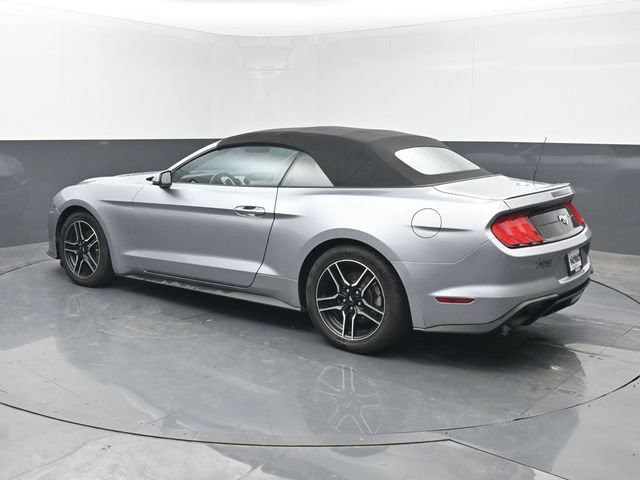 Used 2023 Ford Mustang Premium RWD image 3
