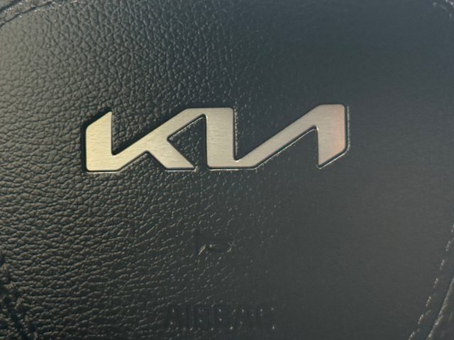 Used 2024 Kia Telluride SX X-Pro AWD/4WD image 5