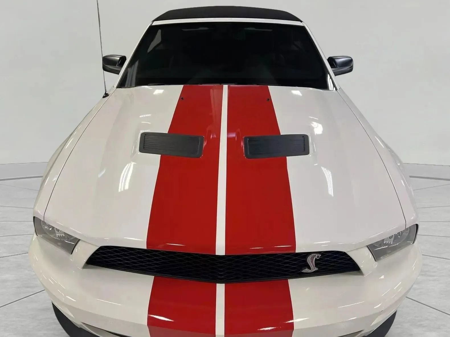 Used 2008 Ford Mustang Shelby GT500 image 4