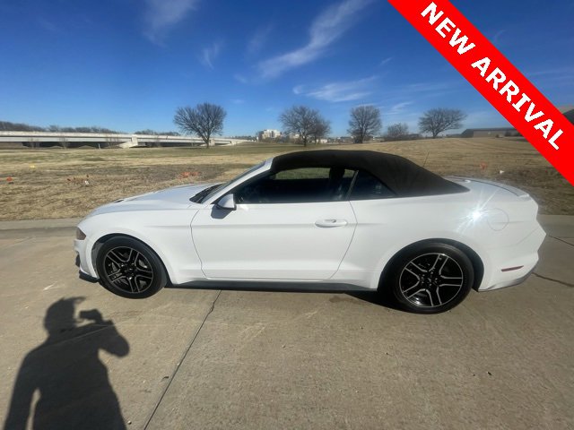 Used 2019 Ford Mustang Premium image 8