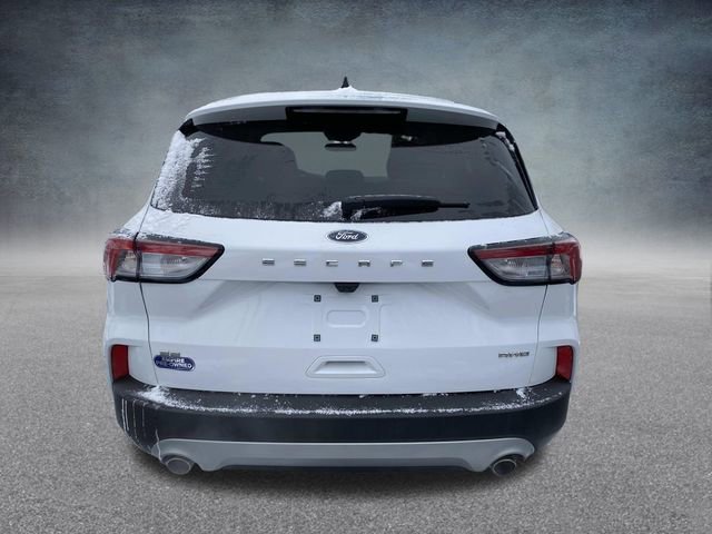 Used 2022 Ford Escape SE image 4