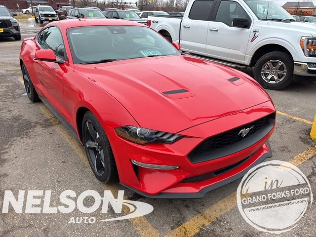 Used 2022 Ford Mustang Coupe w/ Equipment Group 101A image 1