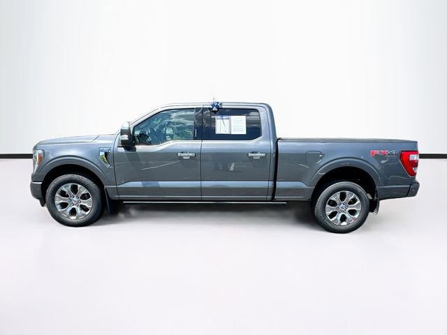 Used 2022 Ford F150 Platinum w/ Equipment Group 701A High AWD/4WD image 4