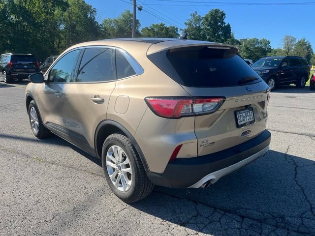 Used 2020 Ford Escape SE AWD/4WD image 8