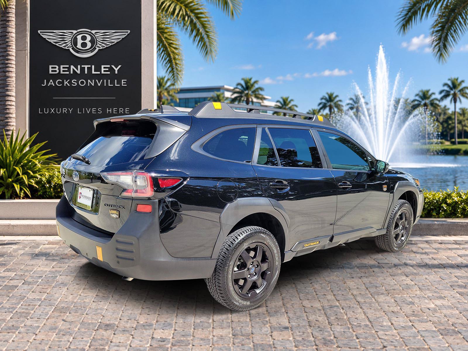 Used 2025 Subaru Outback Wilderness AWD/4WD image 6
