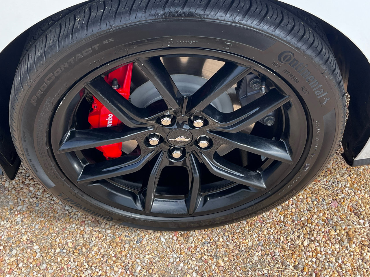 Used 2024 Ford Mustang GT image 12
