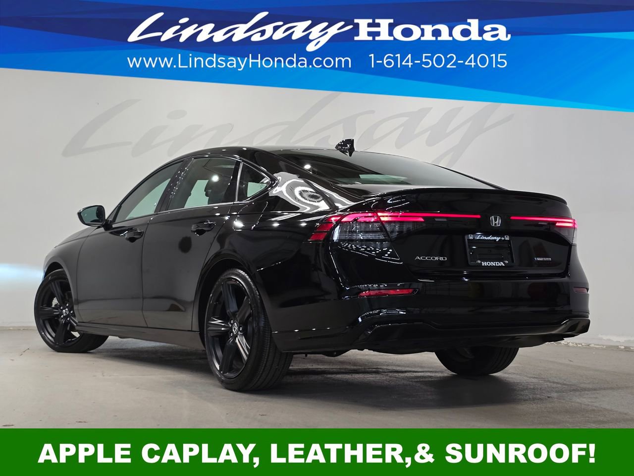 Used 2025 Honda Accord Sport image 4