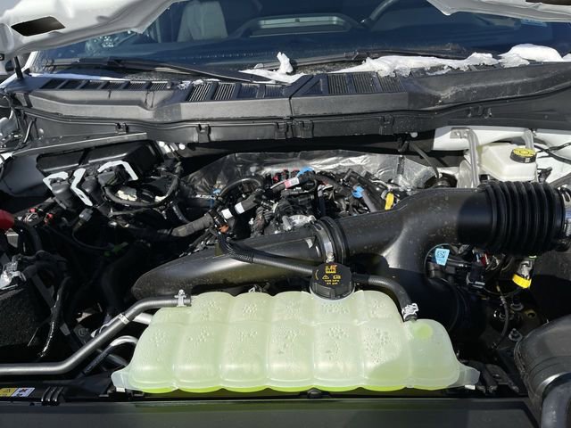 New 2026 Ford F150 STX w/ Equipment Group 200A image 12